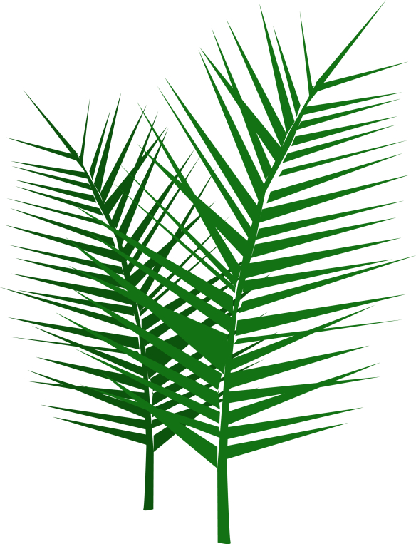 palmbranches