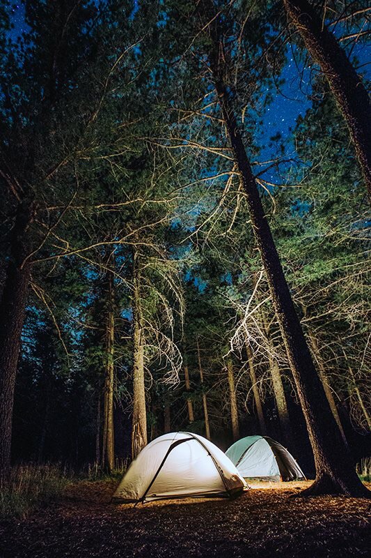 tent in forest